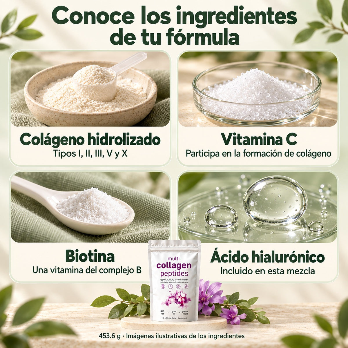 Ingredientes de la fórmula: colágeno hidrolizado, vitamina C, biotina y ácido hialurónico. Representaciones ilustrativas